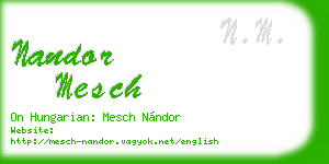 nandor mesch business card
